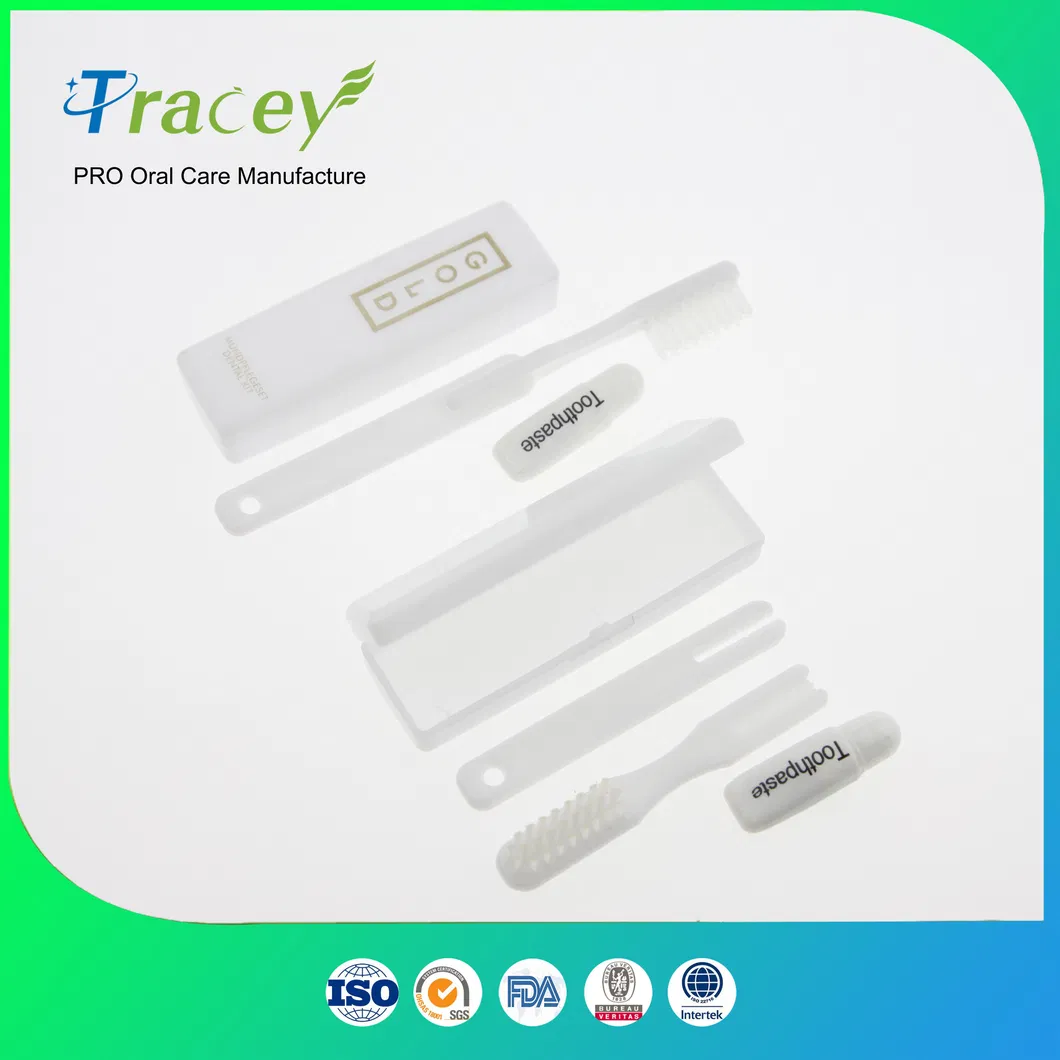 Toothbrush Manufacture Adults/Kids Premium Soft DuPont Bristle Adults′ Oral Care Toothbrush