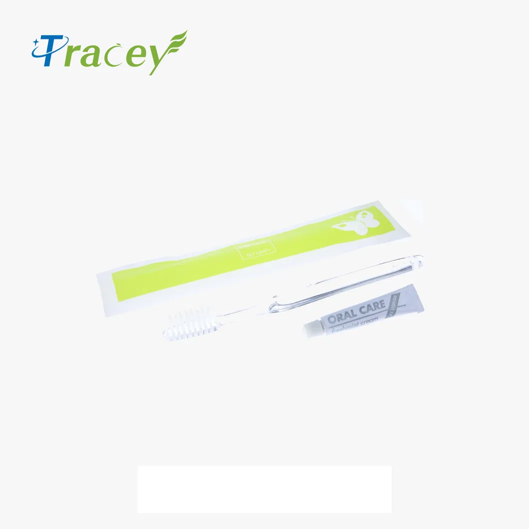 Factory OEM Plastic Transparent Clear Disposable Hotel Toothbrush