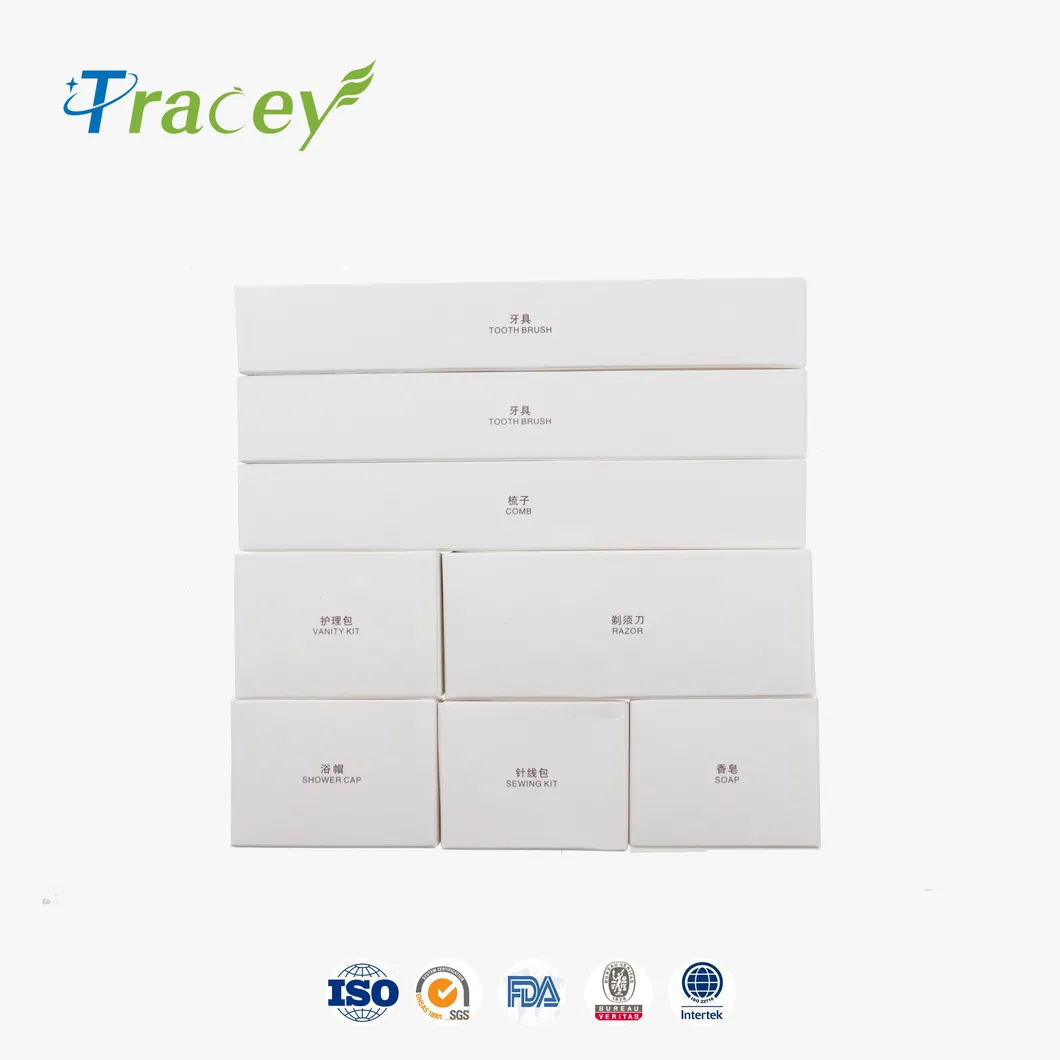 Disposable Hotel Amenity/Luxury Hotel Supplies/5 Star Hotel Amenities Set