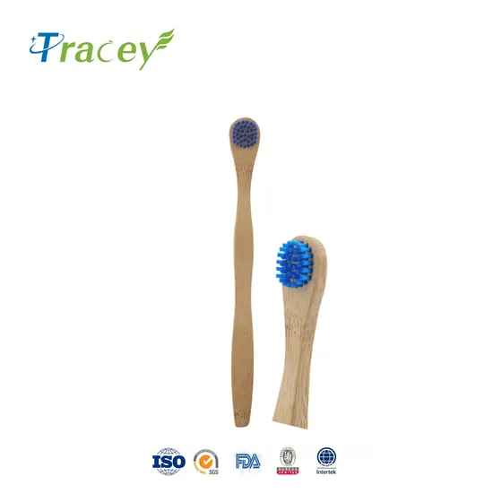 Eco Biodegradable Box Pack Bamboo Toothbrush with Laser Logo Professional Natural Bamboo Wooden Toothbrush Factory