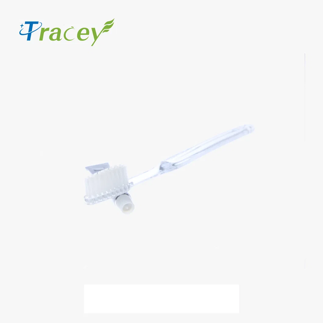 Factory OEM Plastic Transparent Clear Disposable Hotel Toothbrush