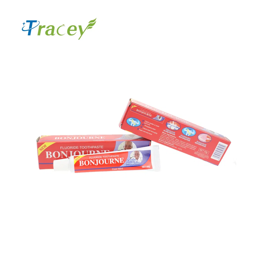 Registered Customize Logo OEM Teeth Whitening Toothpaste Wholesale Basic Mint