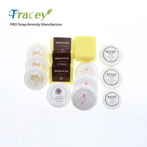 Round 15gr 20gr 25gr 30gr Soap for 5 Star Hotel Amenities Bath Hand Body Bar Soap Bar