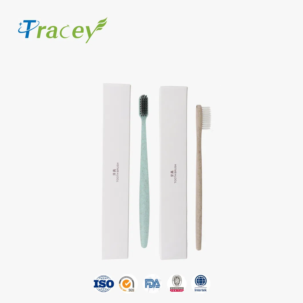 Disposable Hotel Amenity/Luxury Hotel Supplies/5 Star Hotel Amenities Set