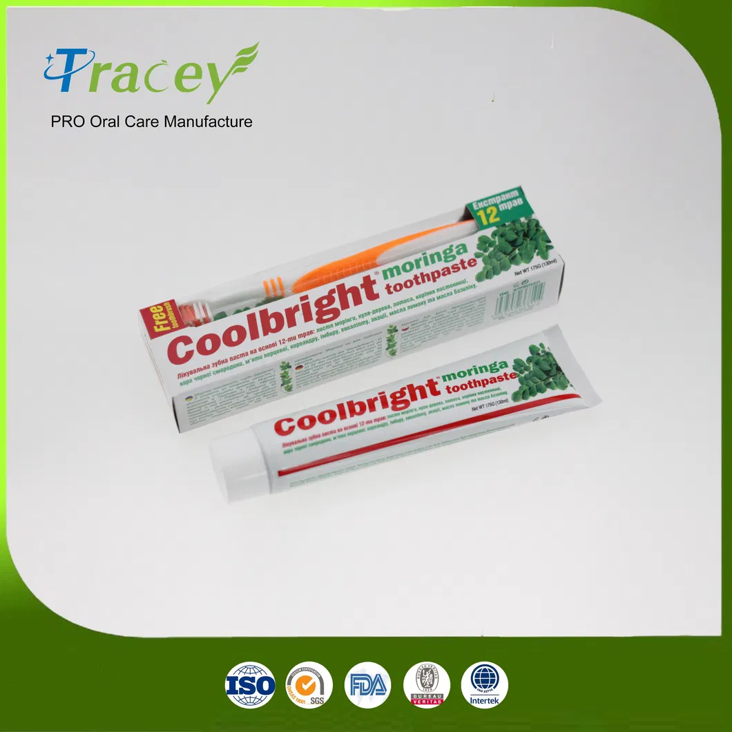 Aquaclean 100gr Toothpaste Freshmint Gel OEM Toothpaste Factory with FDA GMPC