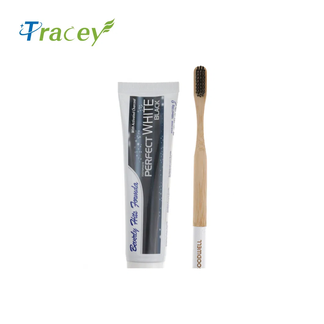 Wholesale Popular BPA Free Vegan Friendly Antibacterial100% Biodegradable Charcoal Handle Wooden Eco-Friendly Bamboo Toothbrush