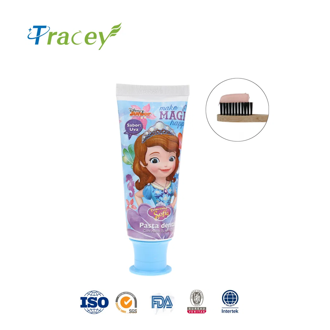 75g Eco Friendly Toothpaste Fruity Strawberry Stain Removal Toothpaste for Kids