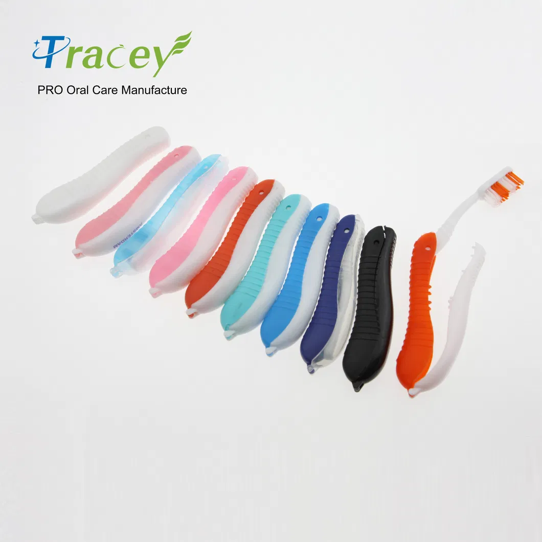 Hippocampi Shape Teethbrushes Foldable Travel Airlines Toothbrush Disposable Travel Hotel Toothbrush Dental Kit