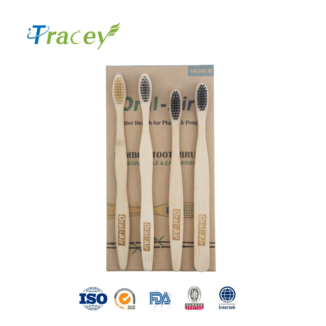 OEM Biodegradable Cheap Eco Friendly Custom Logo Box Reusable Clean Care Wooden Toothbrush