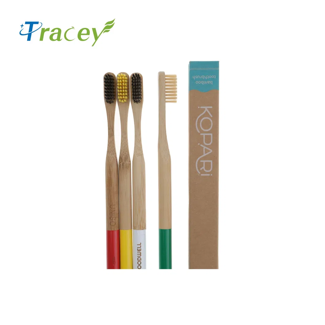 Wholesale Popular BPA Free Vegan Friendly Antibacterial100% Biodegradable Charcoal Handle Wooden Eco-Friendly Bamboo Toothbrush