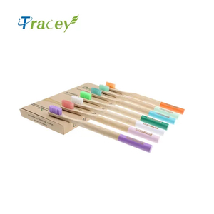 Eco Friendly Biodegradable Disposable Customized Packing and Logo OEM Soft Charcoal Bristle Hotel Bamboo Toothbrush