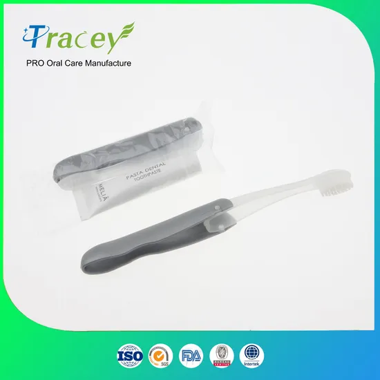 Customize Brand High Quality Professional Kids and Adult Toothbrush OEM Manufacturer