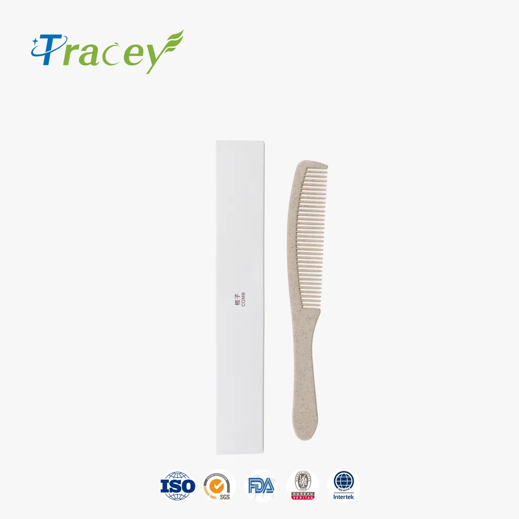 Disposable Hotel Amenity/Luxury Hotel Supplies/5 Star Hotel Amenities Set