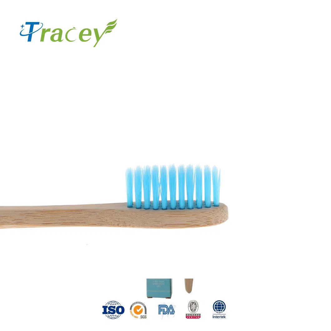 Charcoal Toothbrush Biodegradable Wholesale Bamboo Toothbrush