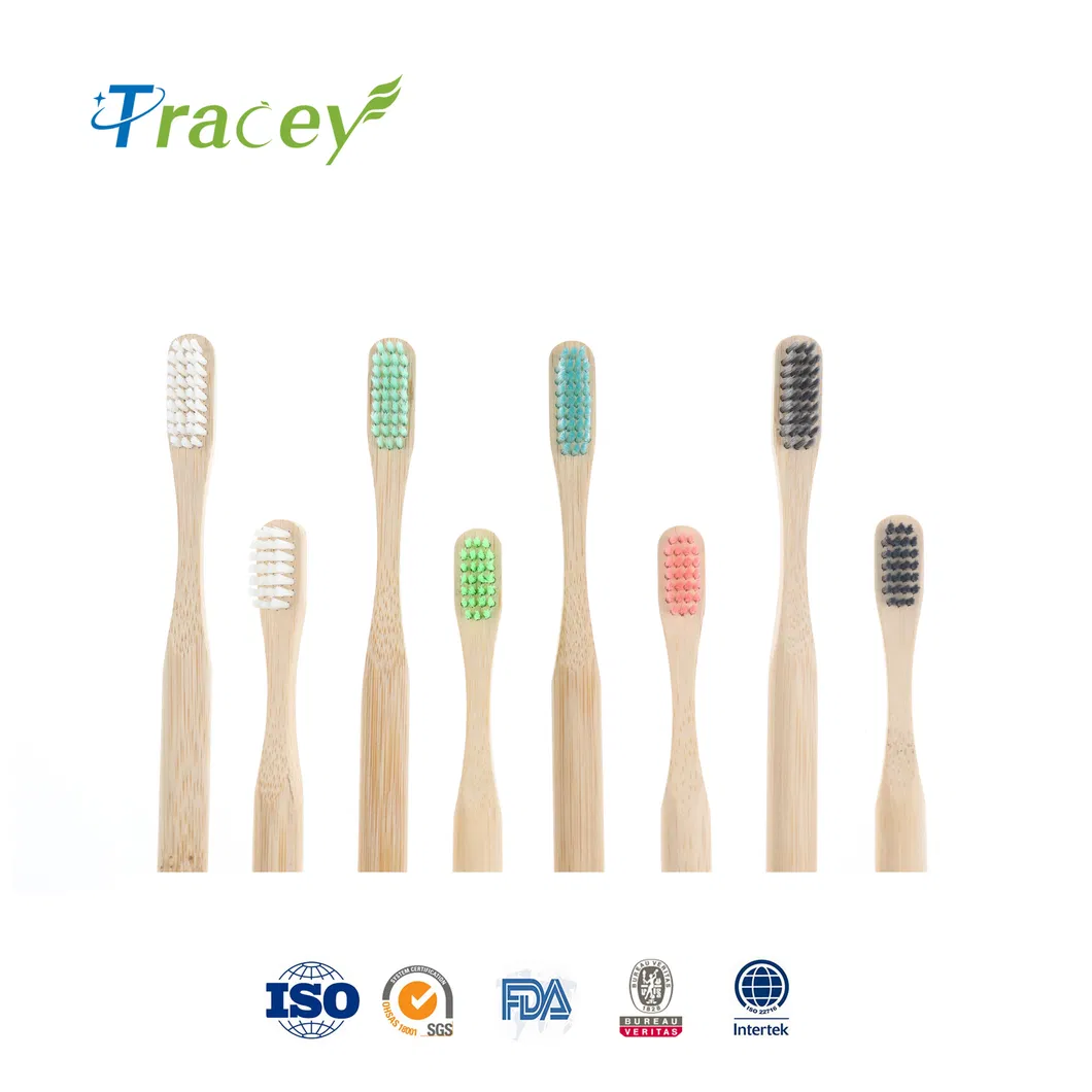 OEM Biodegradable Cheap Eco Friendly Custom Logo Box Reusable Clean Care Wooden Toothbrush