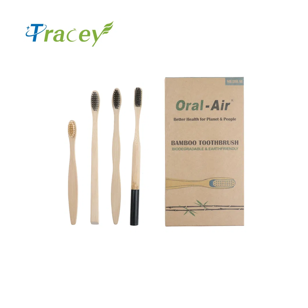 Wholesale Popular BPA Free Vegan Friendly Antibacterial100% Biodegradable Charcoal Handle Wooden Eco-Friendly Bamboo Toothbrush