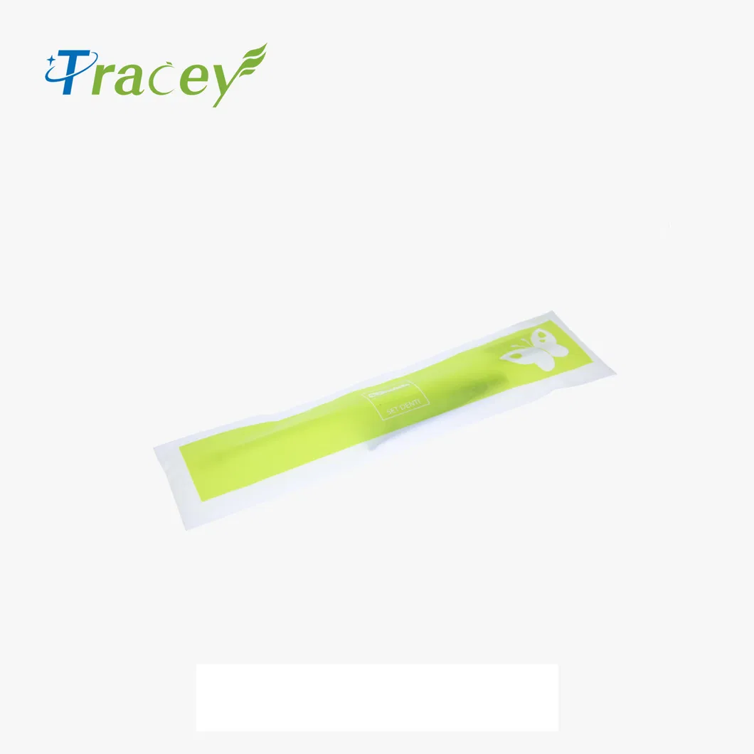 Factory OEM Plastic Transparent Clear Disposable Hotel Toothbrush