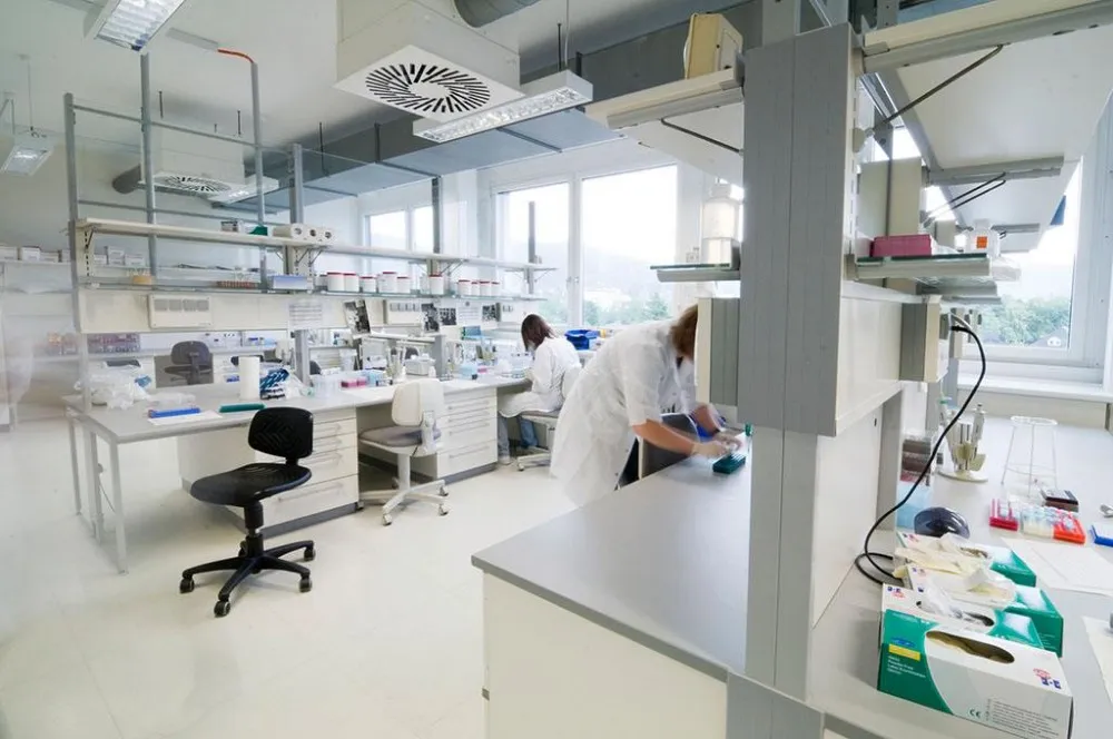 Fluoride Prevents Cavity Solid OEM/ODM Toothpaste for Sensitive Teeth