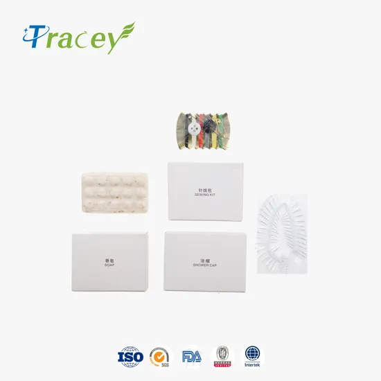 Disposable Hotel Amenity/Luxury Hotel Supplies/5 Star Hotel Amenities Set
