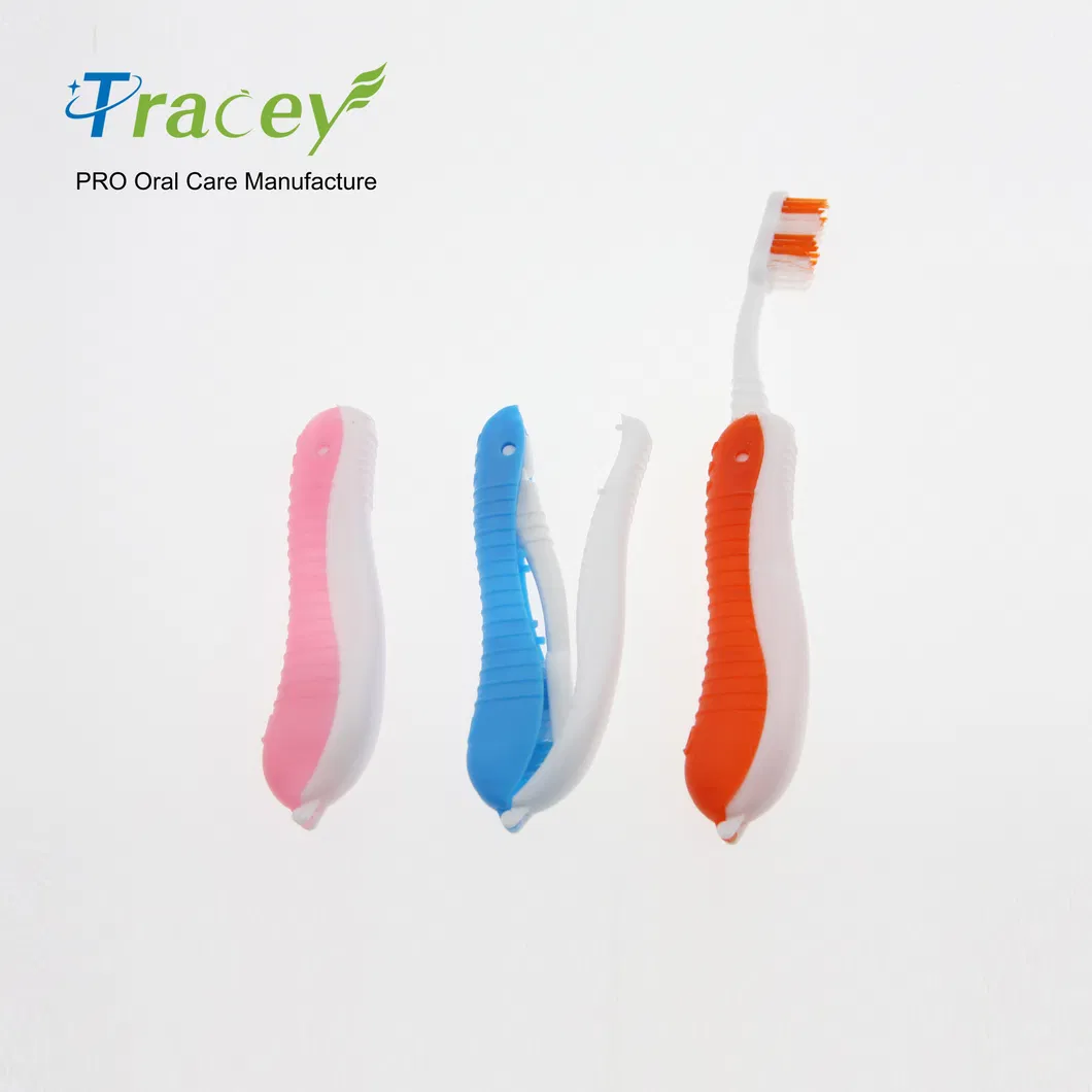 Hotel Cases Box Toothbrush Foldable Toothbrush with 5gr Mini Toothpaste Dental Sets