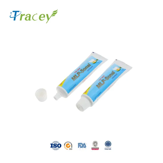 New Original Tooth Paste Organic Mint Toothpaste with Factory Prices 120g
