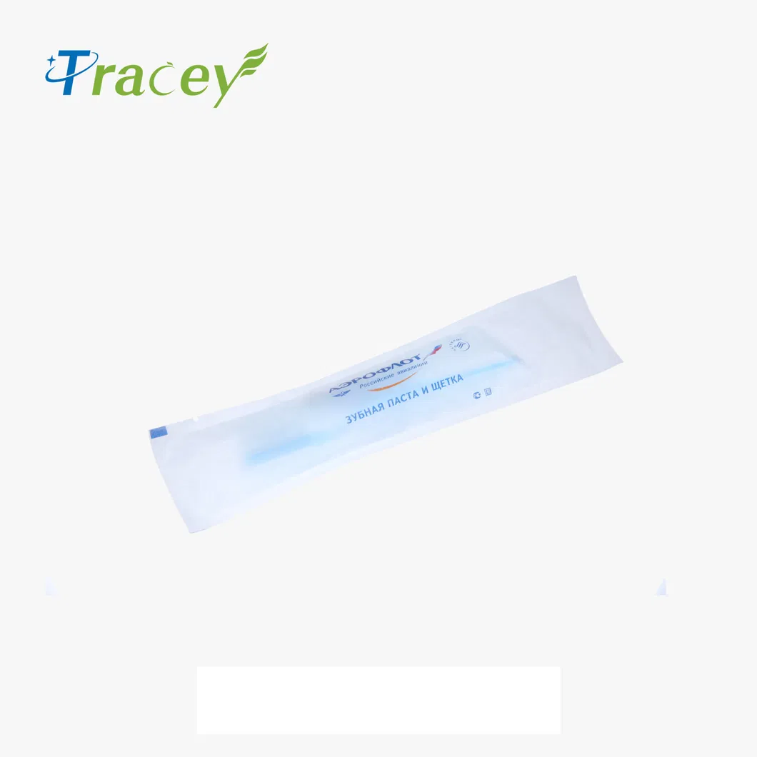 Factory OEM Plastic Transparent Clear Disposable Hotel Toothbrush