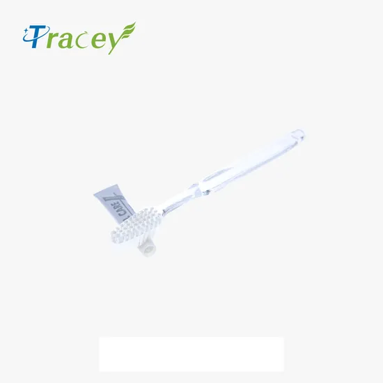 Factory OEM Plastic Transparent Clear Disposable Hotel Toothbrush