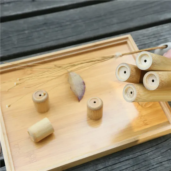 2022 Eco-Friendly Bamboo Case Bamboo Toothbrush Tube Used in Travel Packing Bamboo Toothbrush