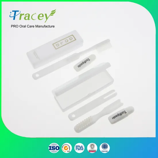 Customize Brand High Quality Professional Kids and Adult Toothbrush OEM Manufacturer