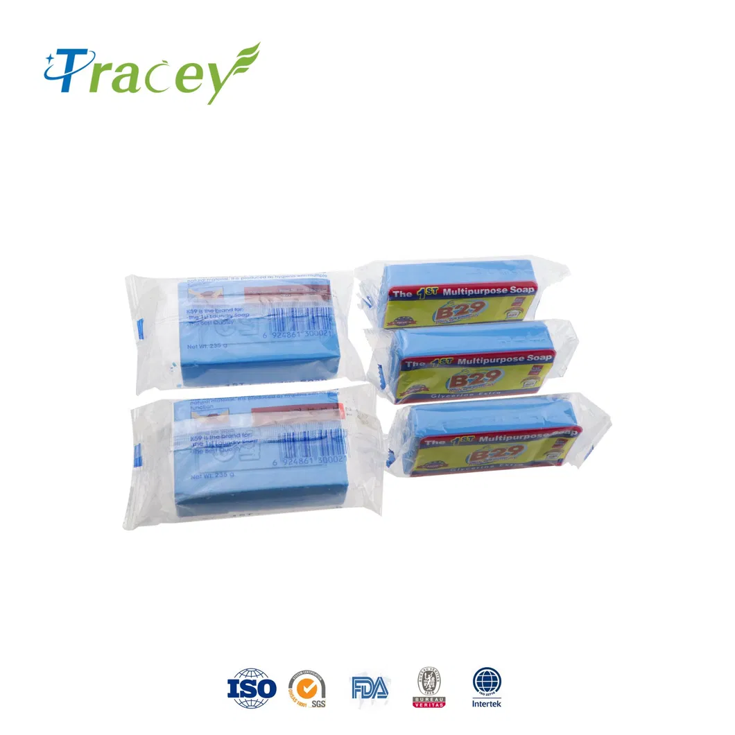 The 1st Multipurpose Soap K59 / B29 Laundry Soap for South American Market