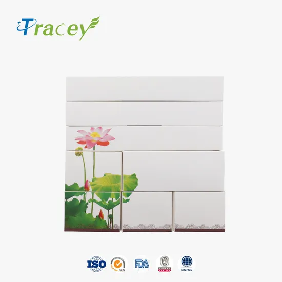 Disposable Hotel Amenity/Luxury Hotel Supplies/5 Star Hotel Amenities Set