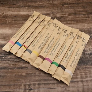 Custom Logo Best Quality Manufacturer 100% Organic Biodegradable Adult Kids Bamboo Charcoal Bristles Bamboo Toothbrush with Case