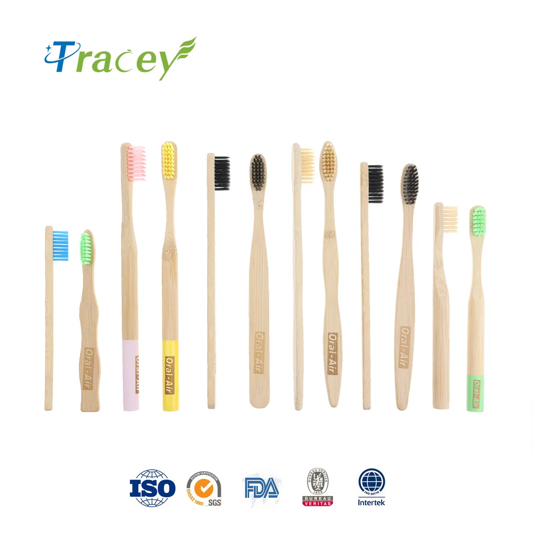 OEM Biodegradable Cheap Eco Friendly Custom Logo Box Reusable Clean Care Wooden Toothbrush