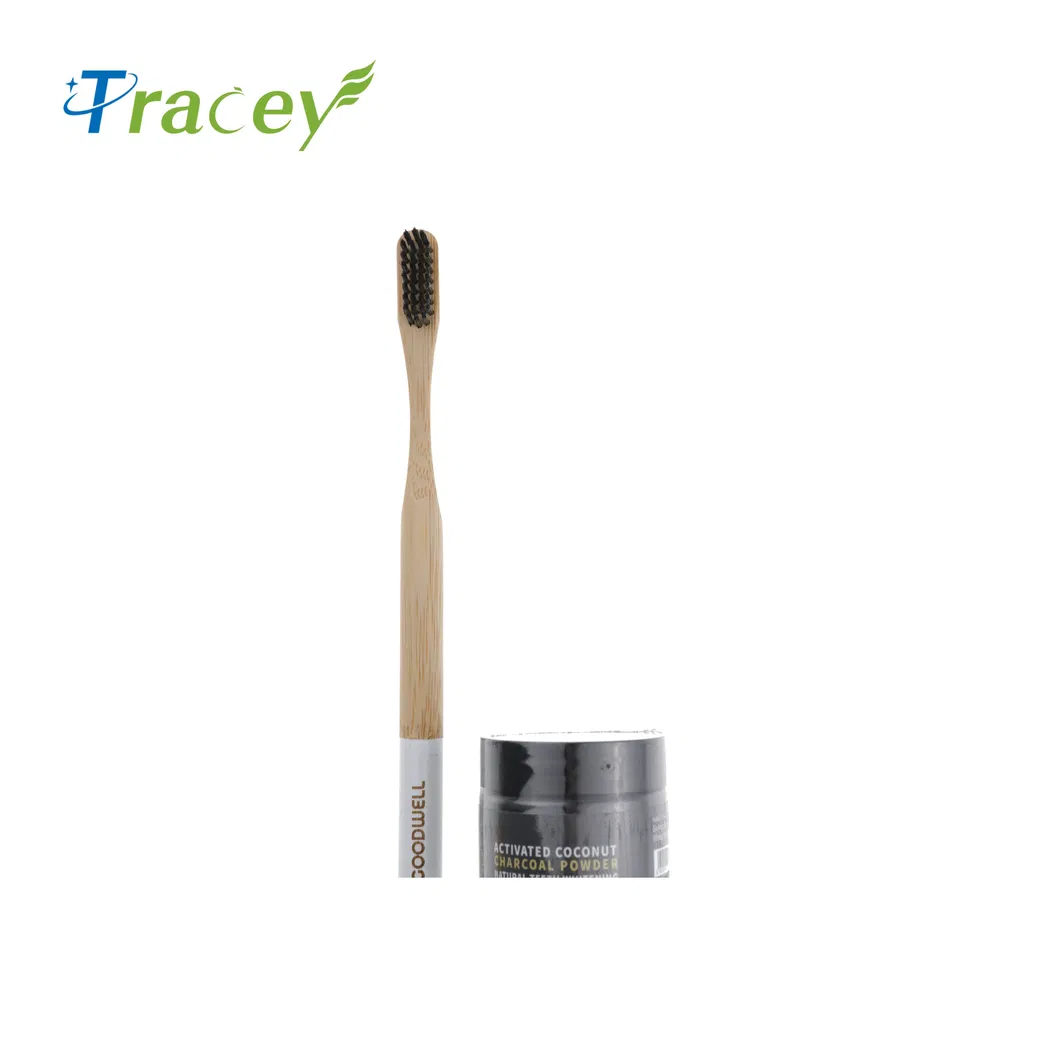 Wholesale Popular BPA Free Vegan Friendly Antibacterial100% Biodegradable Charcoal Handle Wooden Eco-Friendly Bamboo Toothbrush