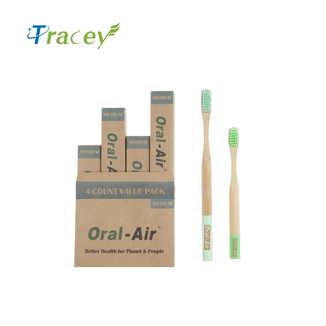 Eco Biodegradable Box Pack Bamboo Toothbrush with Laser Logo Professional Natural Bamboo Wooden Toothbrush Factory