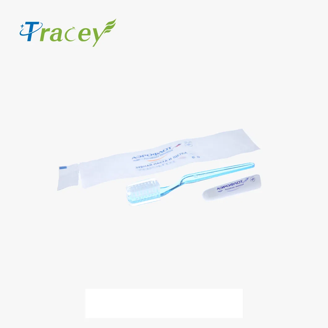 Factory OEM Plastic Transparent Clear Disposable Hotel Toothbrush