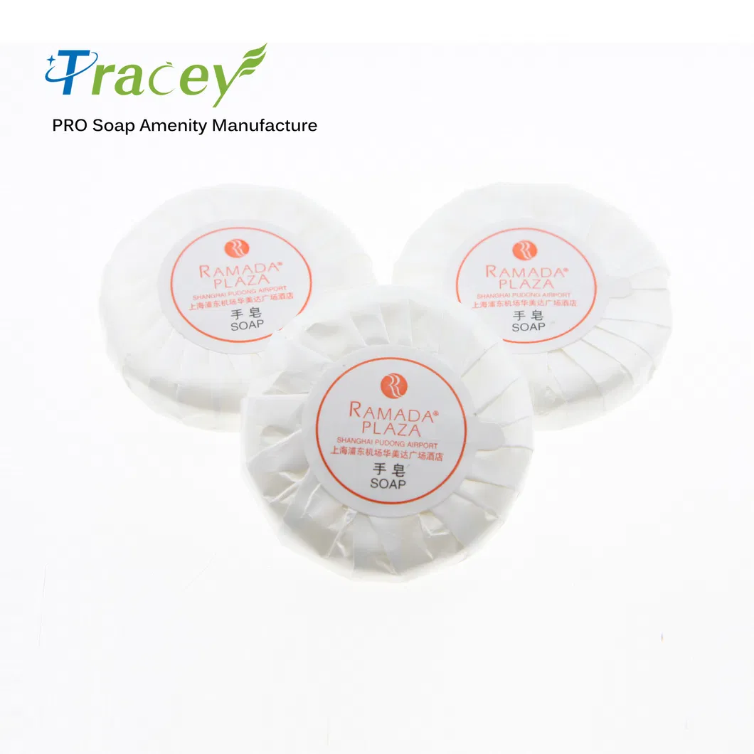 Luxury Cheap Custom Promotional Professional Disposable Small Size Mini Natural Organic Hotel Toilet Bath Shower Bar Soap
