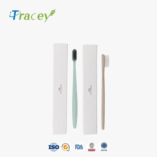 Disposable Hotel Amenity/Luxury Hotel Supplies/5 Star Hotel Amenities Set
