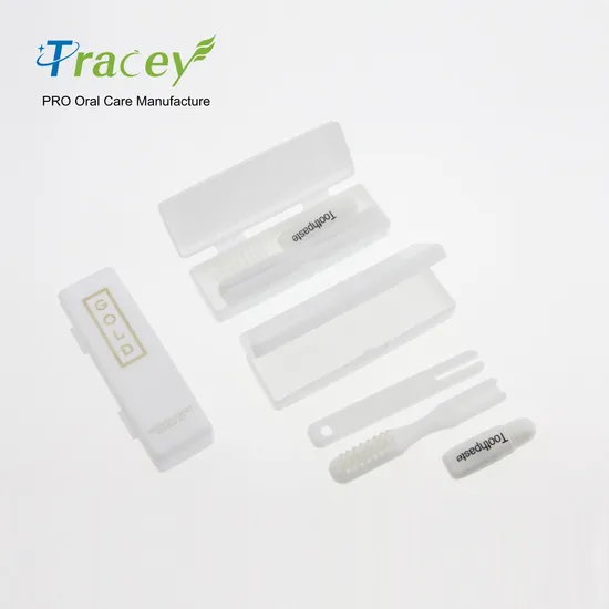 Toothbrush Manufacture Adults/Kids Premium Soft DuPont Bristle Adults′ Oral Care Toothbrush