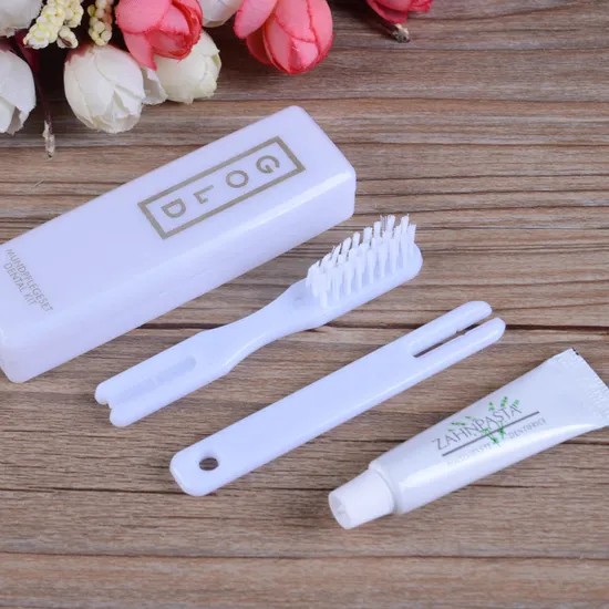 Travel Foldable Hotel Toothbrush Box Set with 5gr Toothpaste Dental Kit Airline Toothbrush