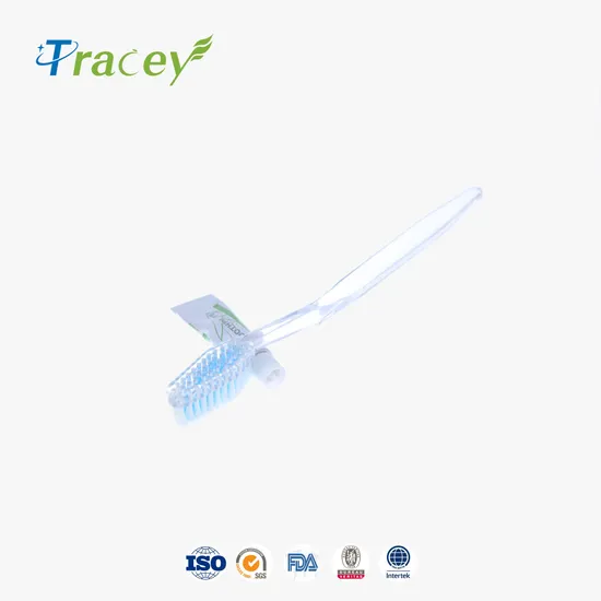 Wholesale Luxury Eco Personal Care Biodegradable Set Toothbrush Disposable Travel Toiletry Bag Dental Kit Hygiene Amenities