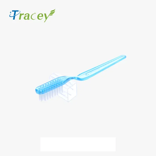 Factory OEM Plastic Transparent Clear Disposable Hotel Toothbrush