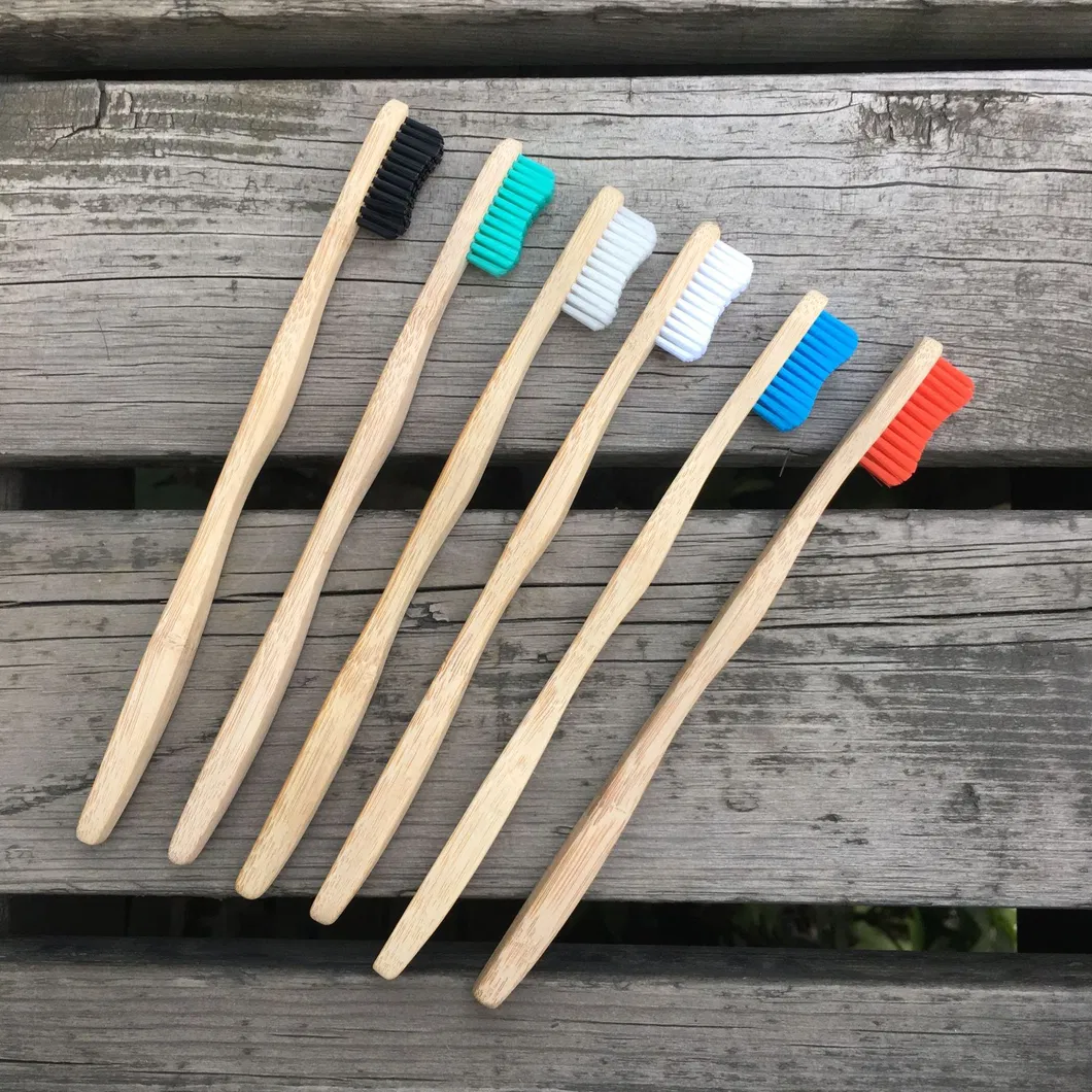 2022 New Natural Eco-Friendly Bamboo Tube with Cap Pack Bamboo Toothbrush Inside