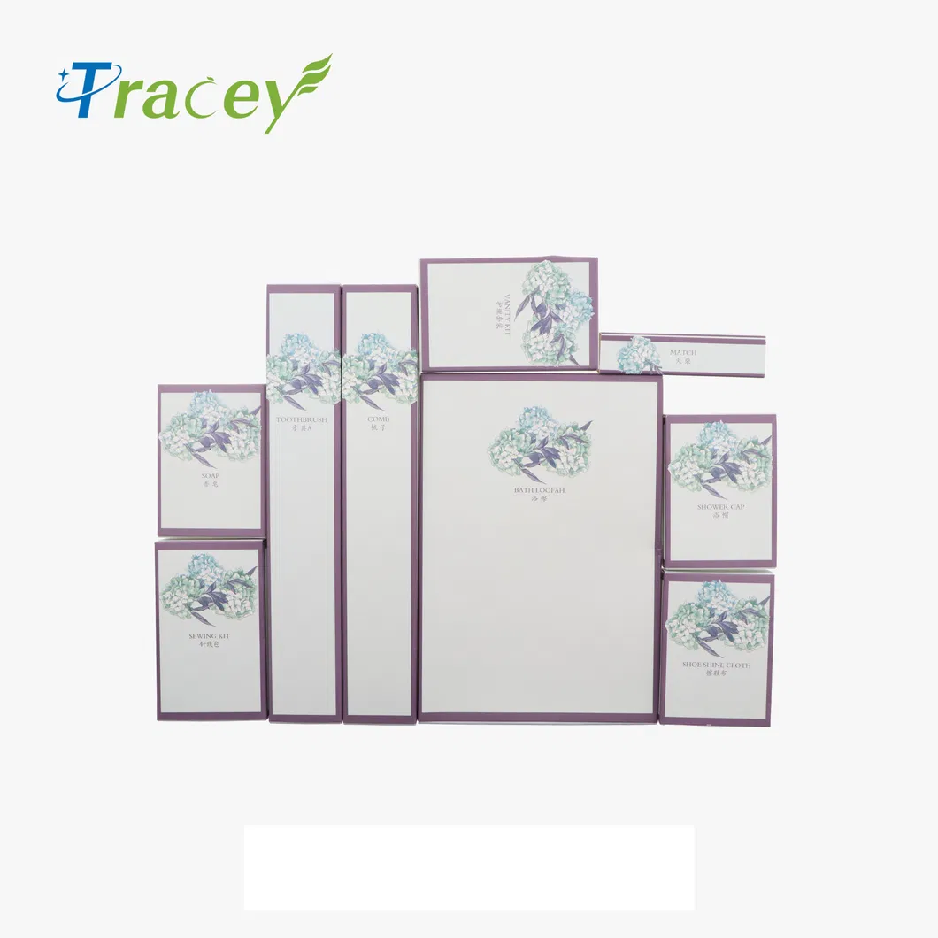5 Star Hotel Amenities Sets Cheap Hotel Supplies Guest Amenities Supplies