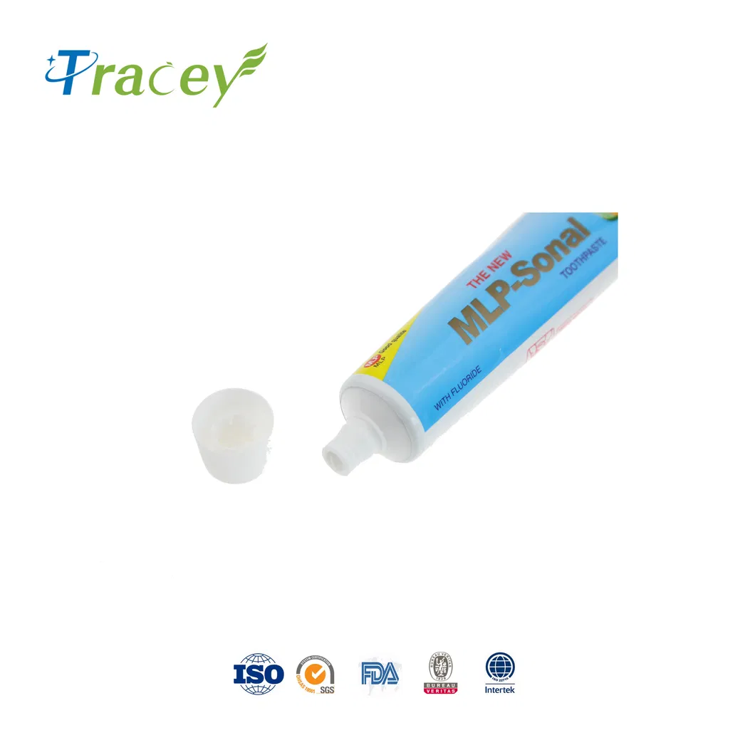 New Original Tooth Paste Organic Mint Toothpaste with Factory Prices 120g