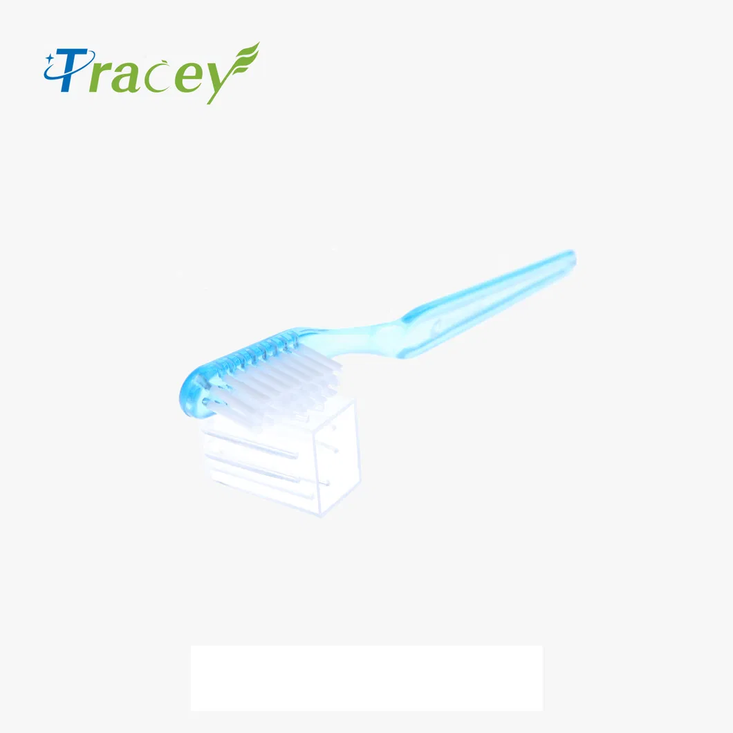 Factory OEM Plastic Transparent Clear Disposable Hotel Toothbrush