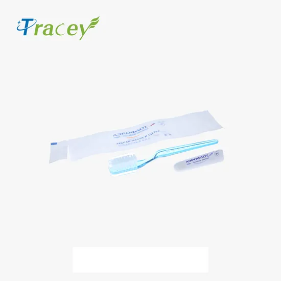 Factory OEM Plastic Transparent Clear Disposable Hotel Toothbrush