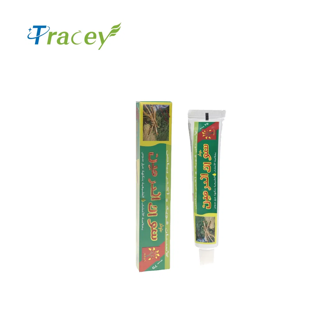 Herbal Fresh Mint Flavor Oral Care Antibacterial Ointment Medicinal Toothpaste Dental Material