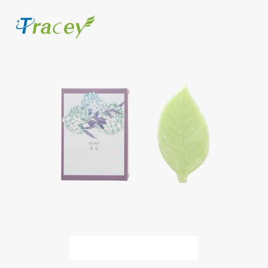 5 Star Hotel Amenities Sets Cheap Hotel Supplies Guest Amenities Supplies