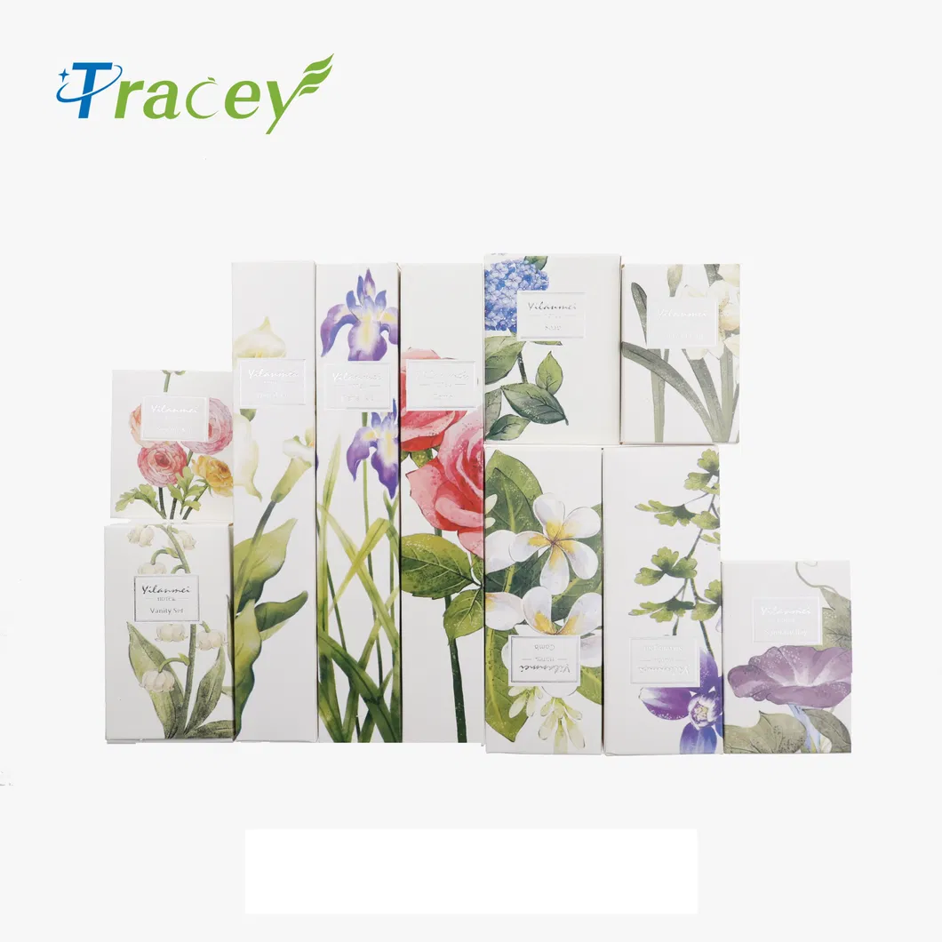 Hospitality Supplies Hotel Amenities Sets / Disposable Comb/ Toothbrush /Shampoo/ Soap